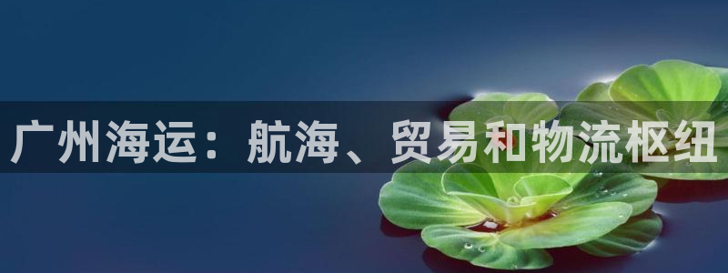 公海赌赌船系统维护要多久
