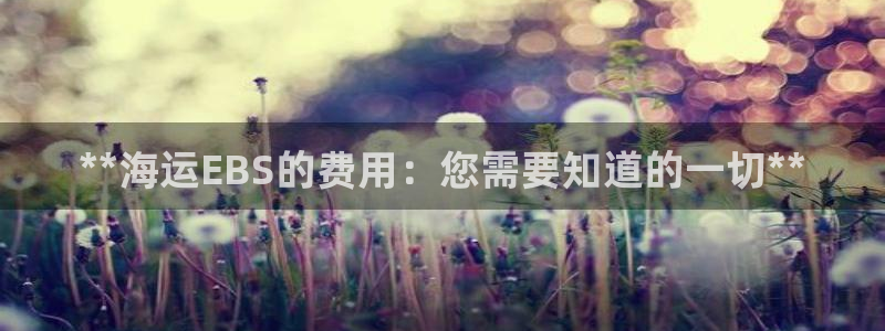 欢迎来到海边