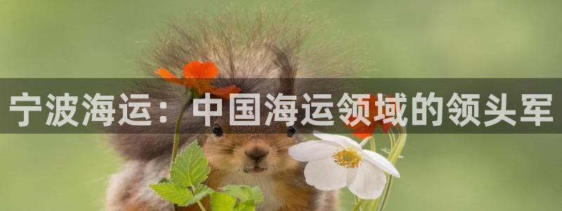 欢迎来到公海欢迎来到赌船!!