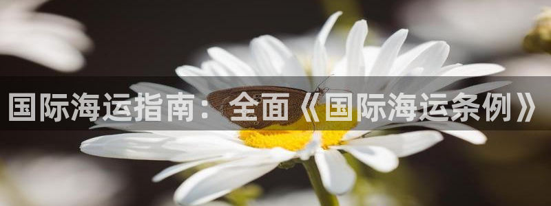公海欢迎来到赌船710