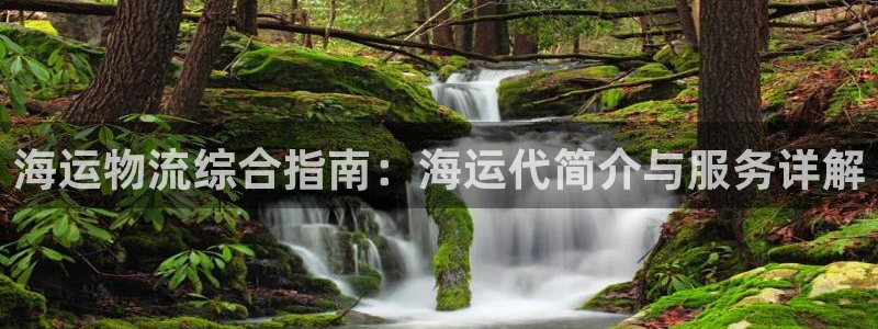 欢迎来到大海