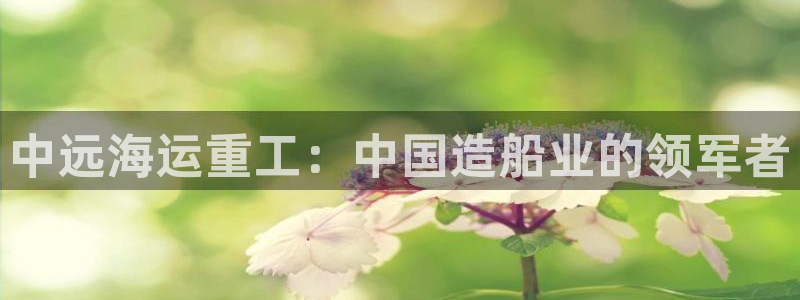 欢迎来到海牛星简谱