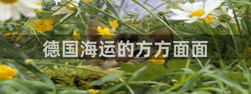 公海赌赌船官网真的