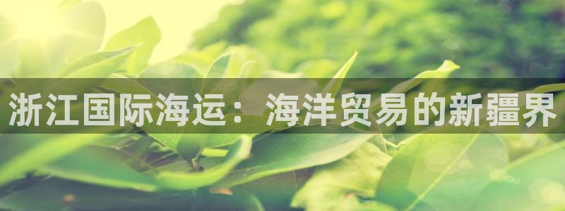 公海赌赌船官网图标
