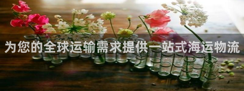 公海赌赌船jcjc710