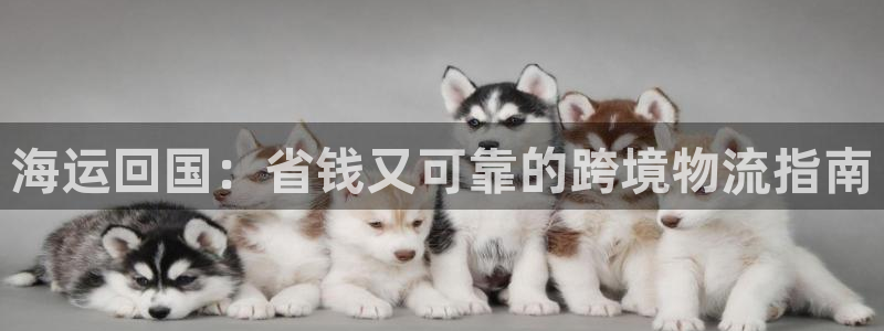 欢迎登船