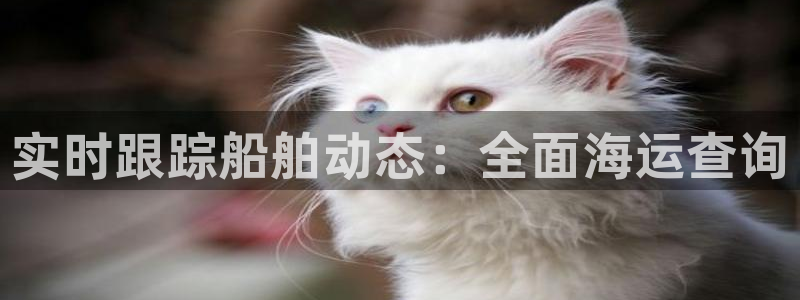 公海赌船网址710