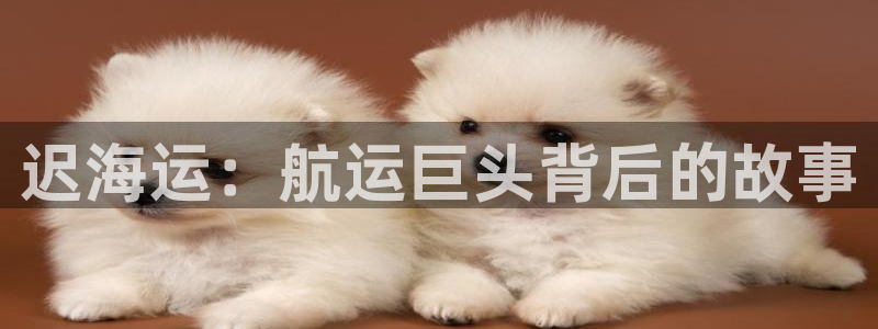 欢迎公海赌710