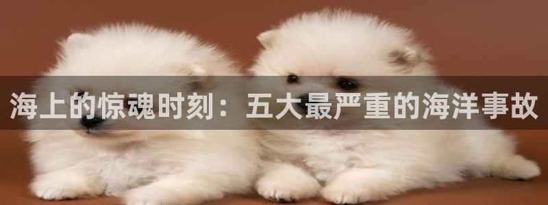 公海赌船官方