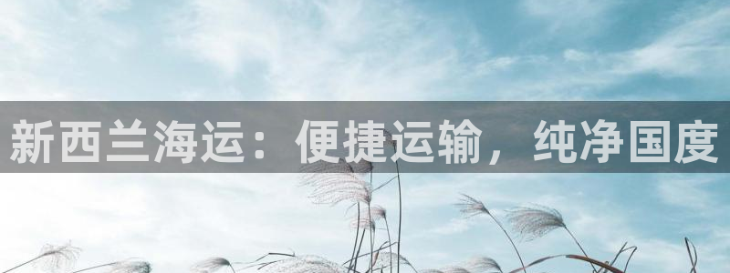 公海赌船网址710