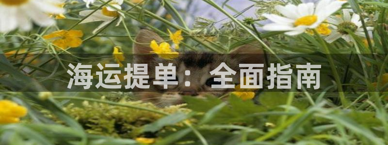 欢迎到我的船上来的英文