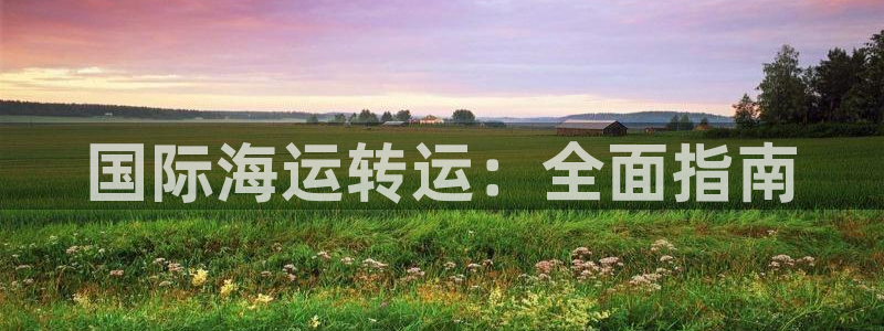 公海赌赌船官网