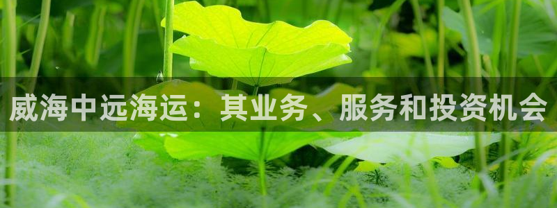 公海赌赌船系统维护要多久