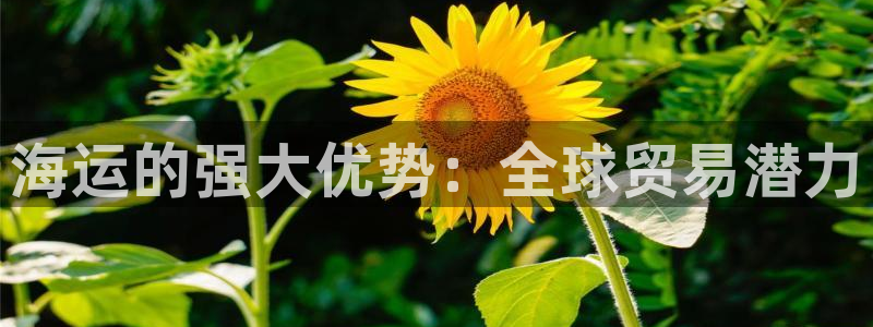 欢迎来公海欢迎来到赌船!