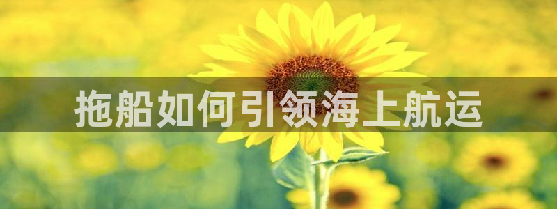 公海欢迎来到赌船