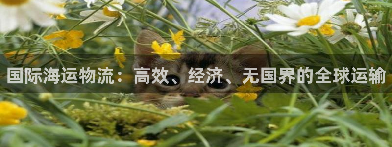 公海赌船贴吧