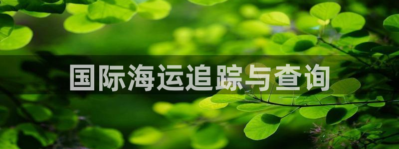 公海赌赌船系统维护要多久