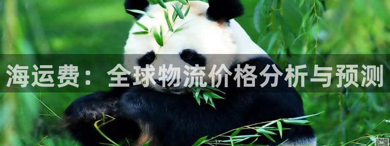 公海赌博是什么意思