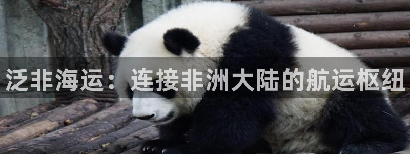 公海赌博犯法吗