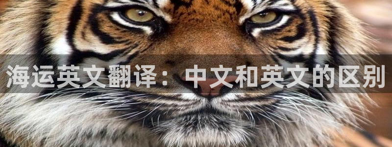 公海赌博为什么不犯法
