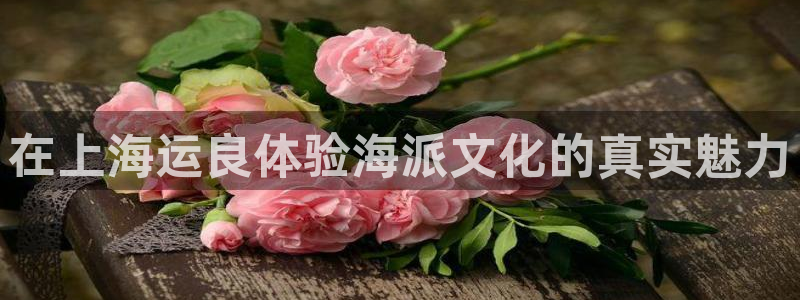 公海欢迎来到赌船