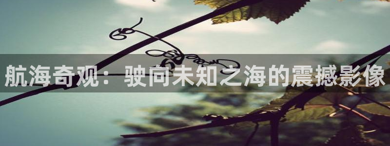 公海赌博犯法吗