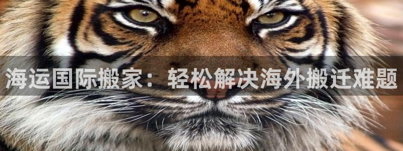 公海赌赌船官网真的