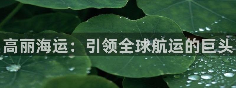 公海赌钱违法吗