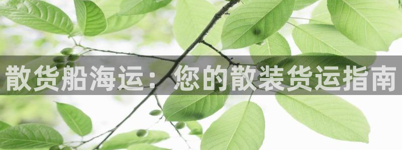 欢迎公海赌710