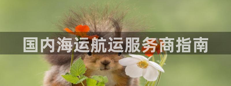 公海赌博犯法吗