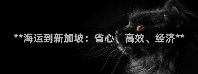 欢迎你来到公主的海岛