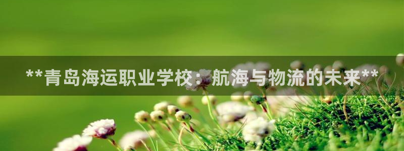 710公海赌赌船有总代理吗