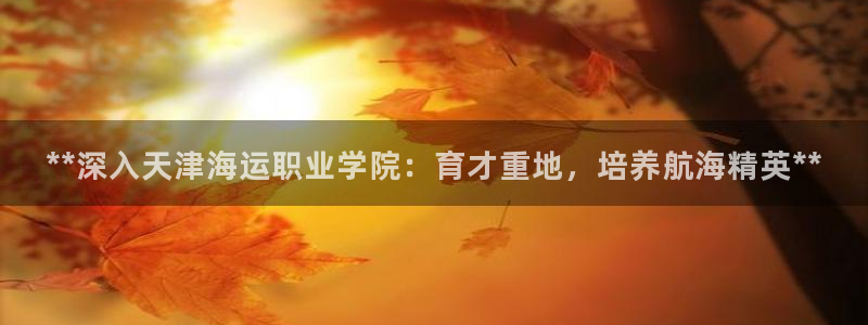 公海赌赌船快速充值