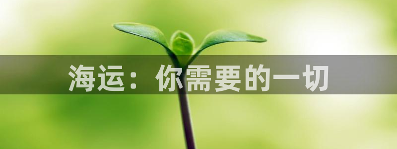 公海 赌船710手机版下载官方