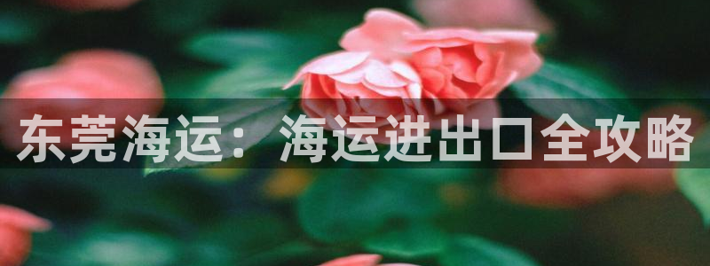 欢迎公海来到赌船710