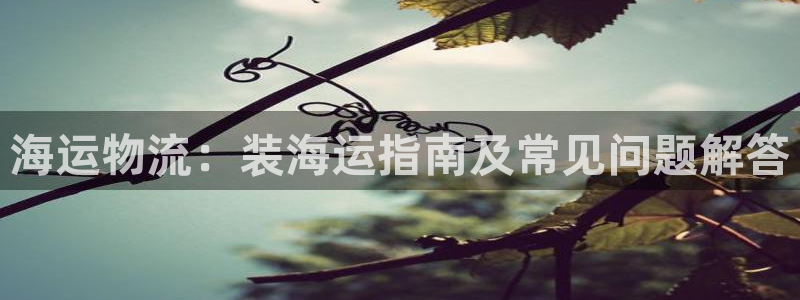欢迎来到大海