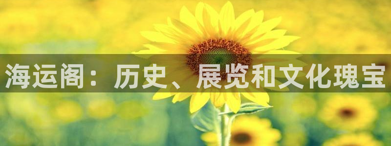 公海赌赌船jcjc710