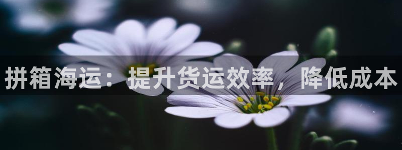 公海赌船贴吧