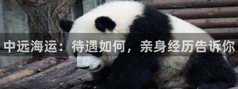 公海赌赌船官网jc7