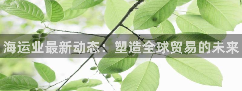 欢迎您来到公海
