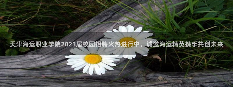 欢迎来到公海欢迎来到赌船!!