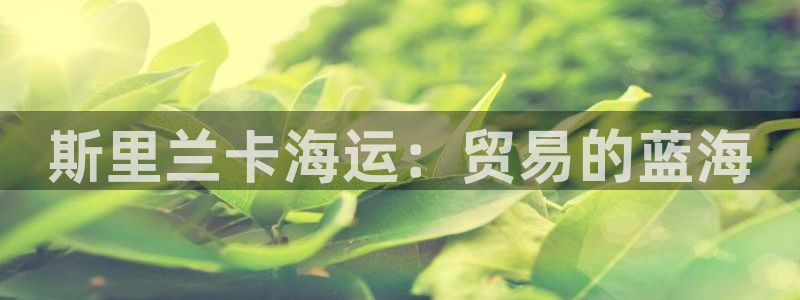 欢迎上船