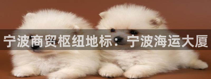 欢迎你来到公海 赌船
