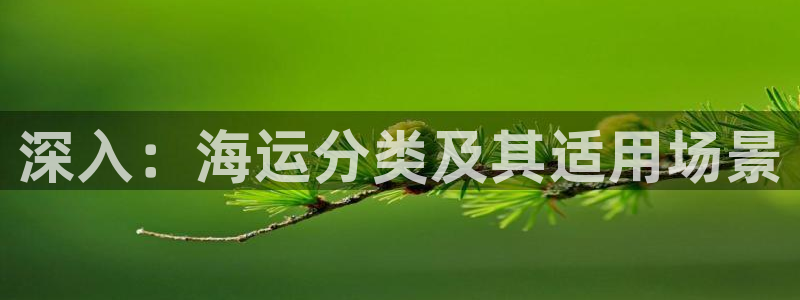 公海赌博为什么没人管