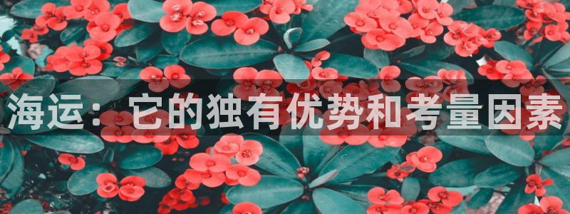 公海赌博犯法吗