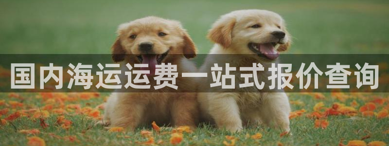 欢迎您来到公海