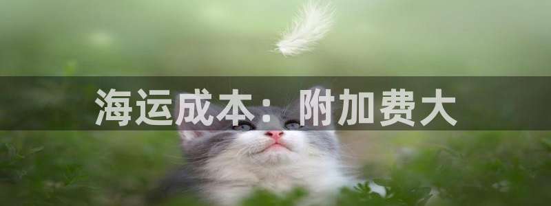 欢迎你来到公海欢迎你来到