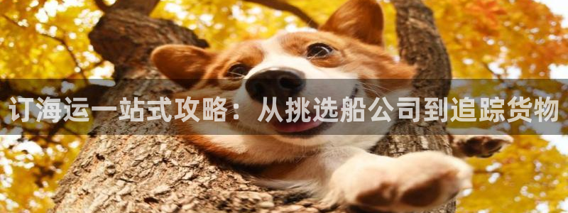 公海赌船官网下载